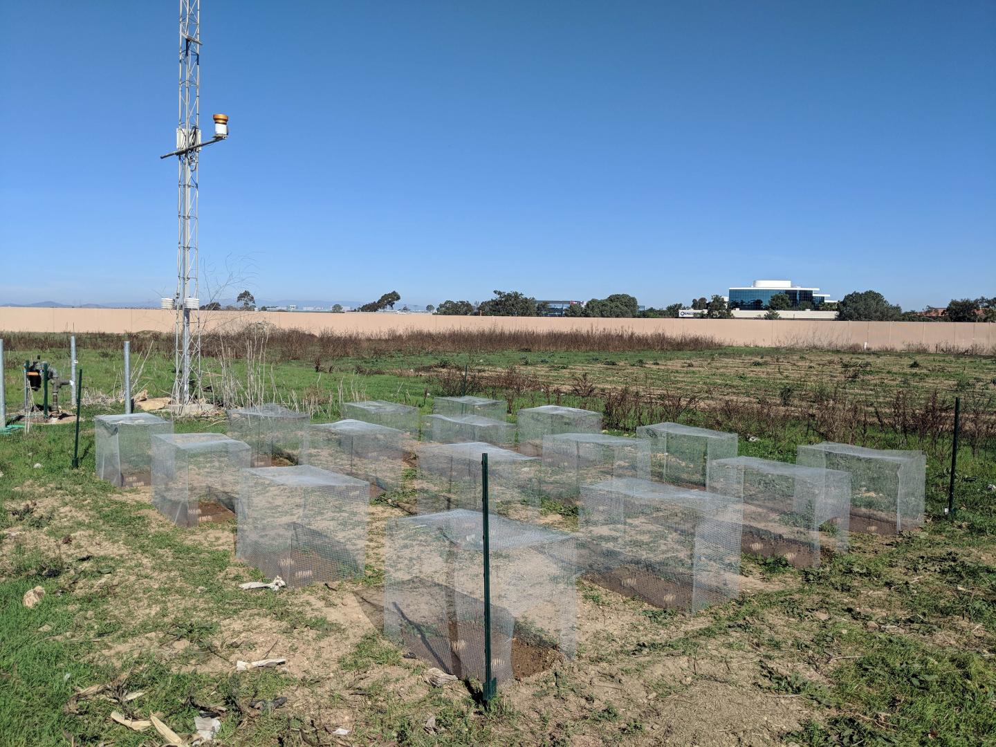 Grass plot experiments