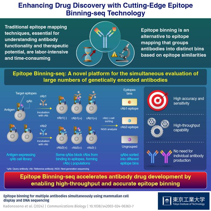 Enhancing Antibody Drug Discovery with Epitope Binning-seq Technology