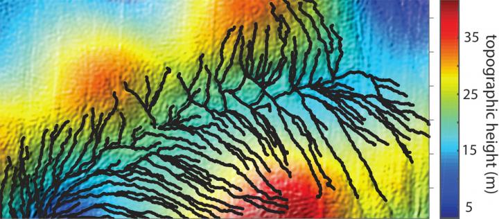 Drainage Pattern Formed by Summer Melt on Greenland Ice Sheet