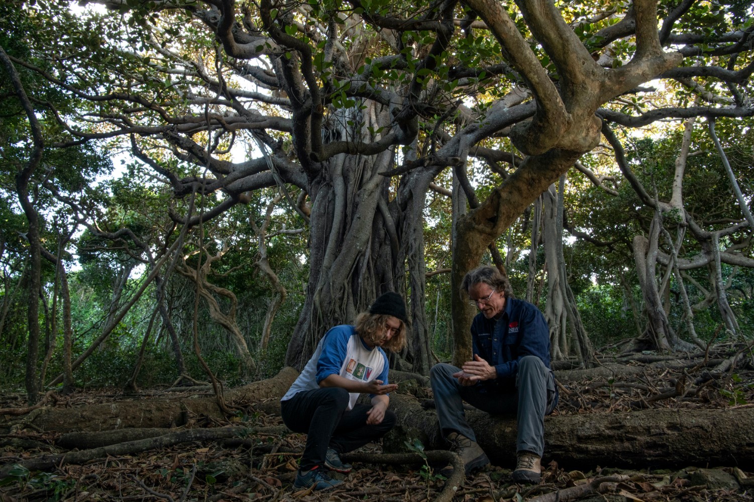 Maxim Adams and Nicholas Carlile under the banyan tree
