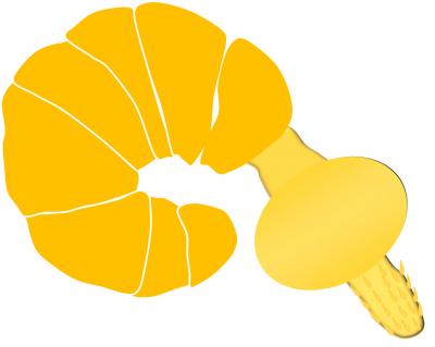 <i>Pomphorhynchus laevis</i>