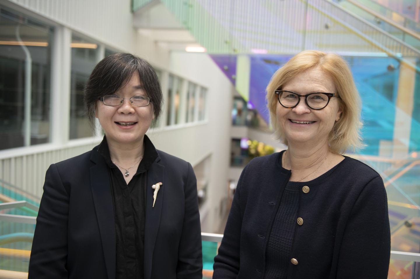 Hong Xu and Maria Eriksdotter