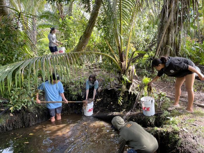 Students tending to fishpond