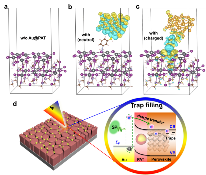 Figure 2| Plasmonic enhancement mechanism
