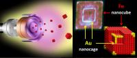 Hybrid Au/Fe Nanoparticles