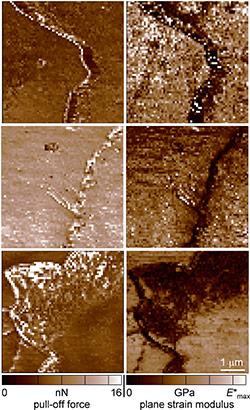 Measuring the Mechanical Properties of Hair