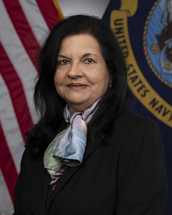 NRL Plasma Physicist Elevated IMAGE EurekAlert Science News Releases