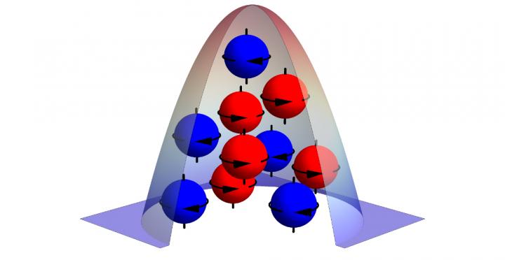 Bose-Einstein Condensate Comagnetometer