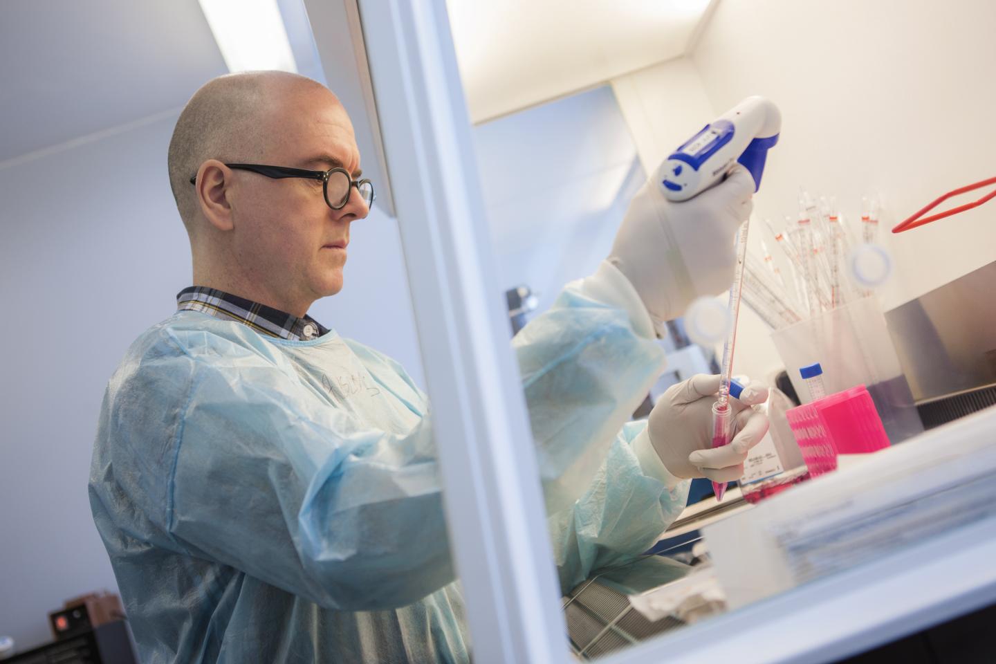 The Vaccine Group [IMAGE] | EurekAlert! Science News Releases