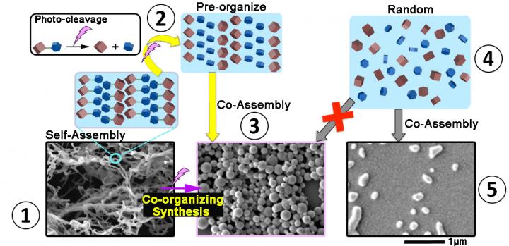 Induction of New Macroscopic Shapes from the Fragments of the Initial Self-Assembled Structure