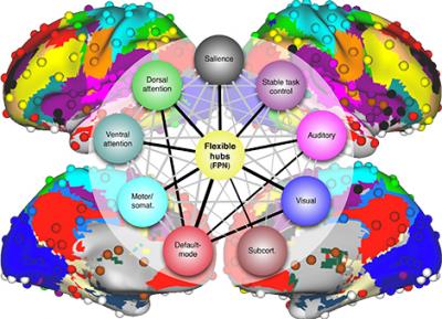 Fronto-Parietal Brain Network