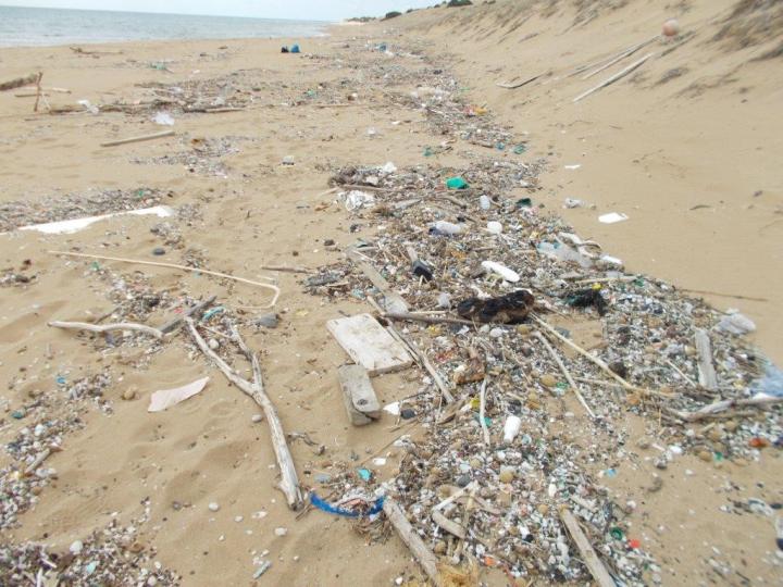 CLAIM Aims to Tackle Marine Litter