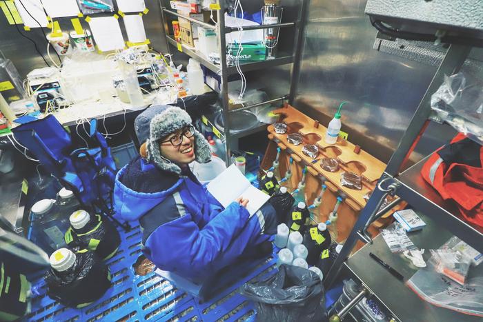 Fertilization by Iron in the Southern Ocean