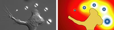 Stimulating Single Living Cells with Light and Microparticles