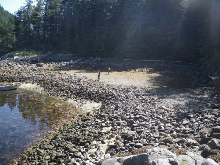 Northwest Coast Clam Gardens Nearly 2,000 Years Older than Previously Thought