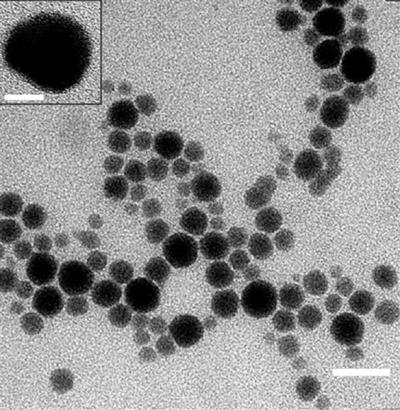 Silver Nanoparticles