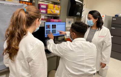 Researchers Develop New Therapy