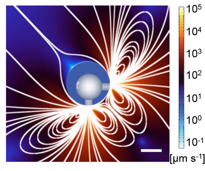 Flow Patterns Made By an Acoustic Hydrogel Microrobot