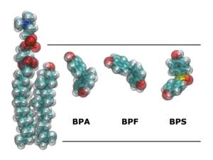 Comparisson of bisphenol molecules