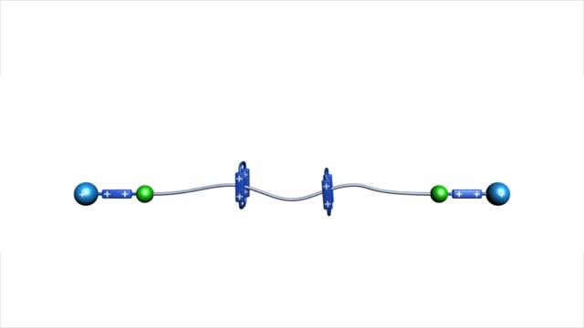 Precise Polyrotaxane Synthesizer