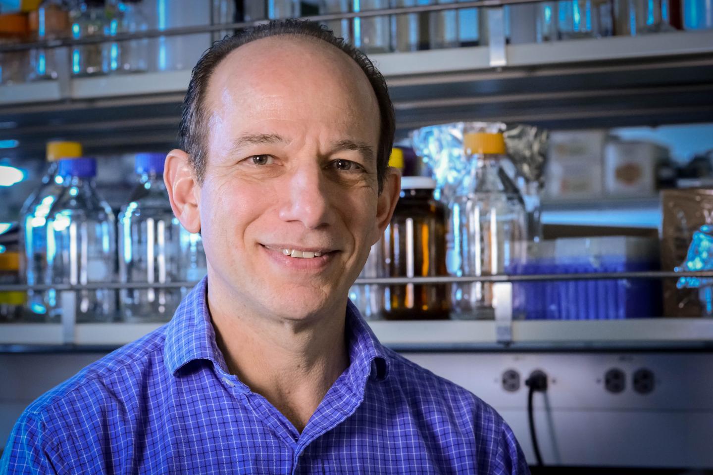 Gregg Fields, Florida Atlantic University