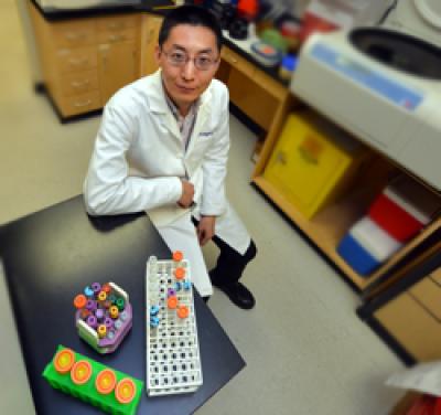 Dr. Shaoyong Su, Medical College of Georgia at Georgia Regents University
