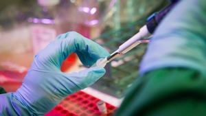 Scientist using instruments wearing PPE in laboratory