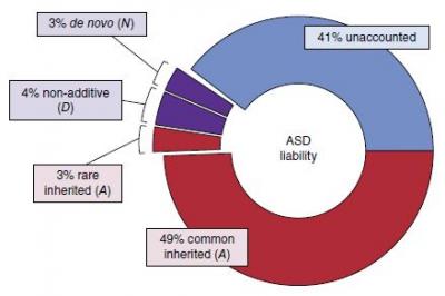 Autism's Genetic Architecture