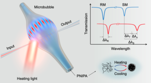 Operando monitoring transition dynamics of responsive polymer using optofluidic microcavities