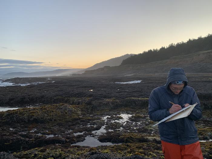 rocky shore surveying