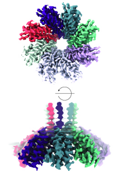 Membrane Protein Enhances CRISPR Anti-viral Defense