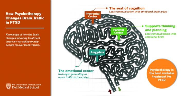 How Psychotherapy Changes Brain Traffic in PTSD