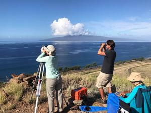 Humpback whales move daytime singing offshore - Vimarsana News