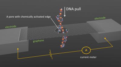 DNA Sequencing Concept