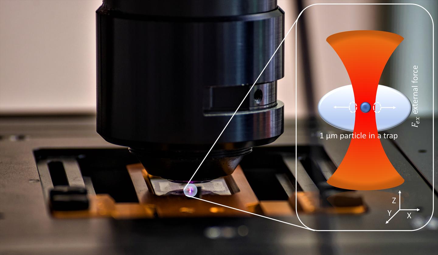 Microparticle held with optical tweezers