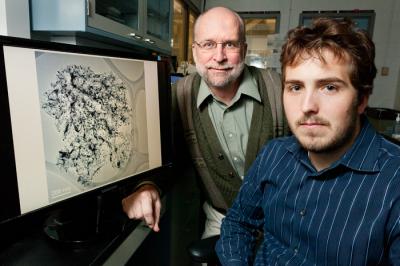 Iron-impregnated Carbon Spheres