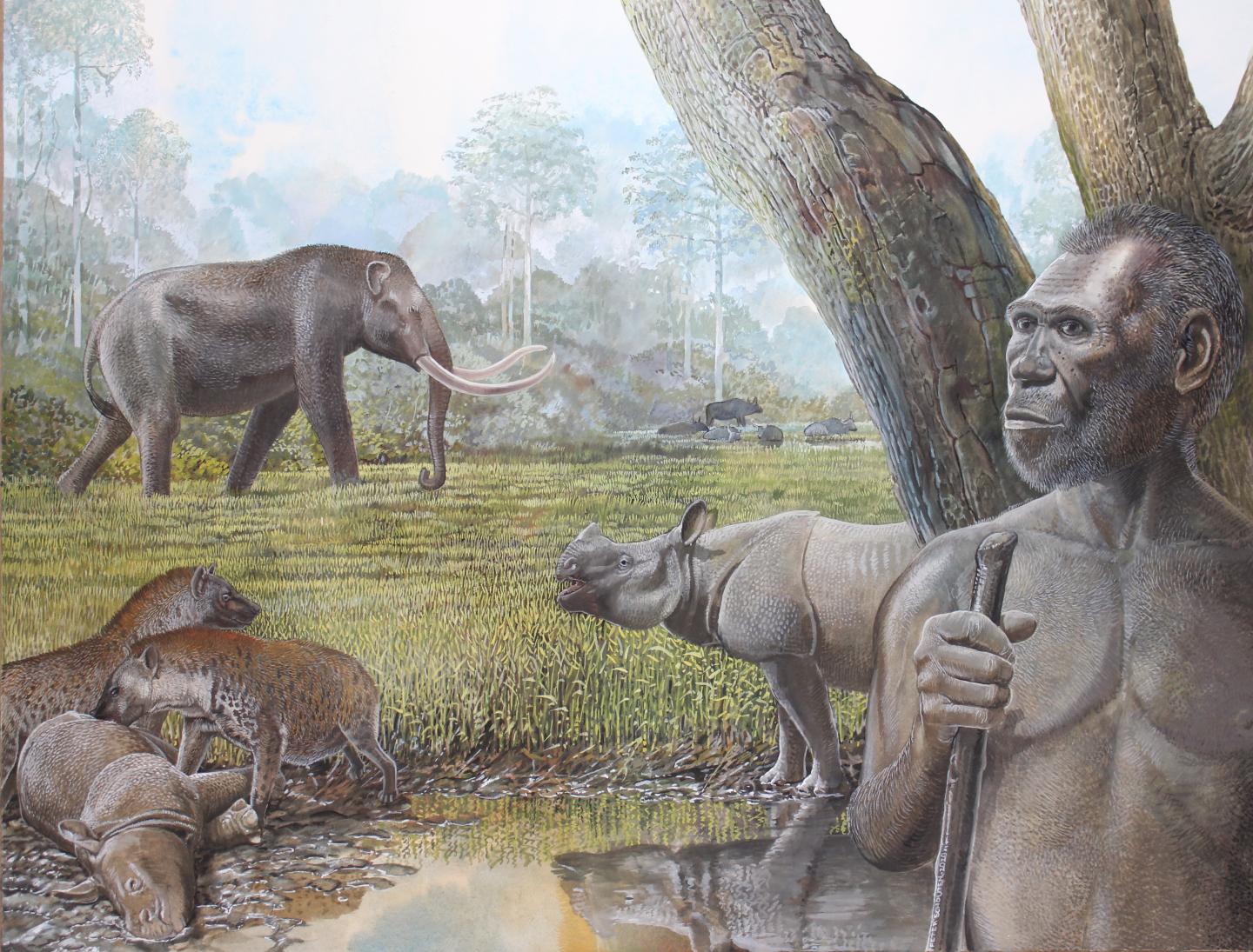 Artist's reconstruction