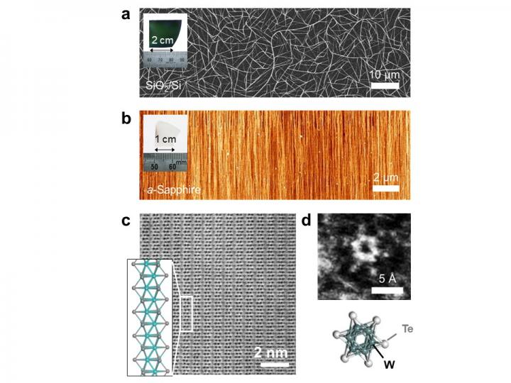 Different substrate, different nanowire arrangement.