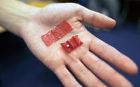 Photo of Ingestible Oragami Robot Shown in Hand