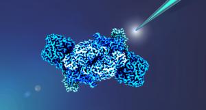 Biocatalyst iron nitrogenase