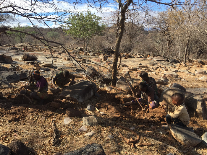 Hadza Women Securing Food