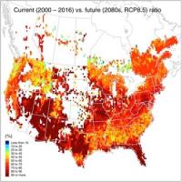 Capacity of North American Forests to Sequester Carbon 3