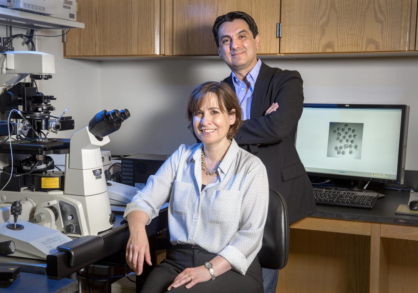 Rabindranath De La Fuente and Maria Viveiros