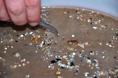 Microplastics