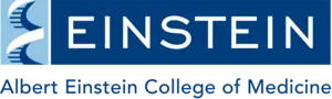 Albert Einstein College of Medicine