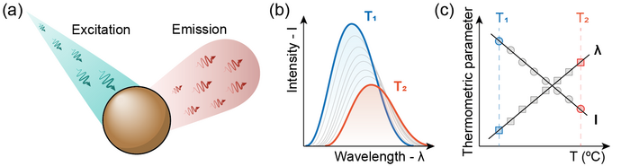 Figure 2. Workings and calibration of a luminescent nanothermometer.