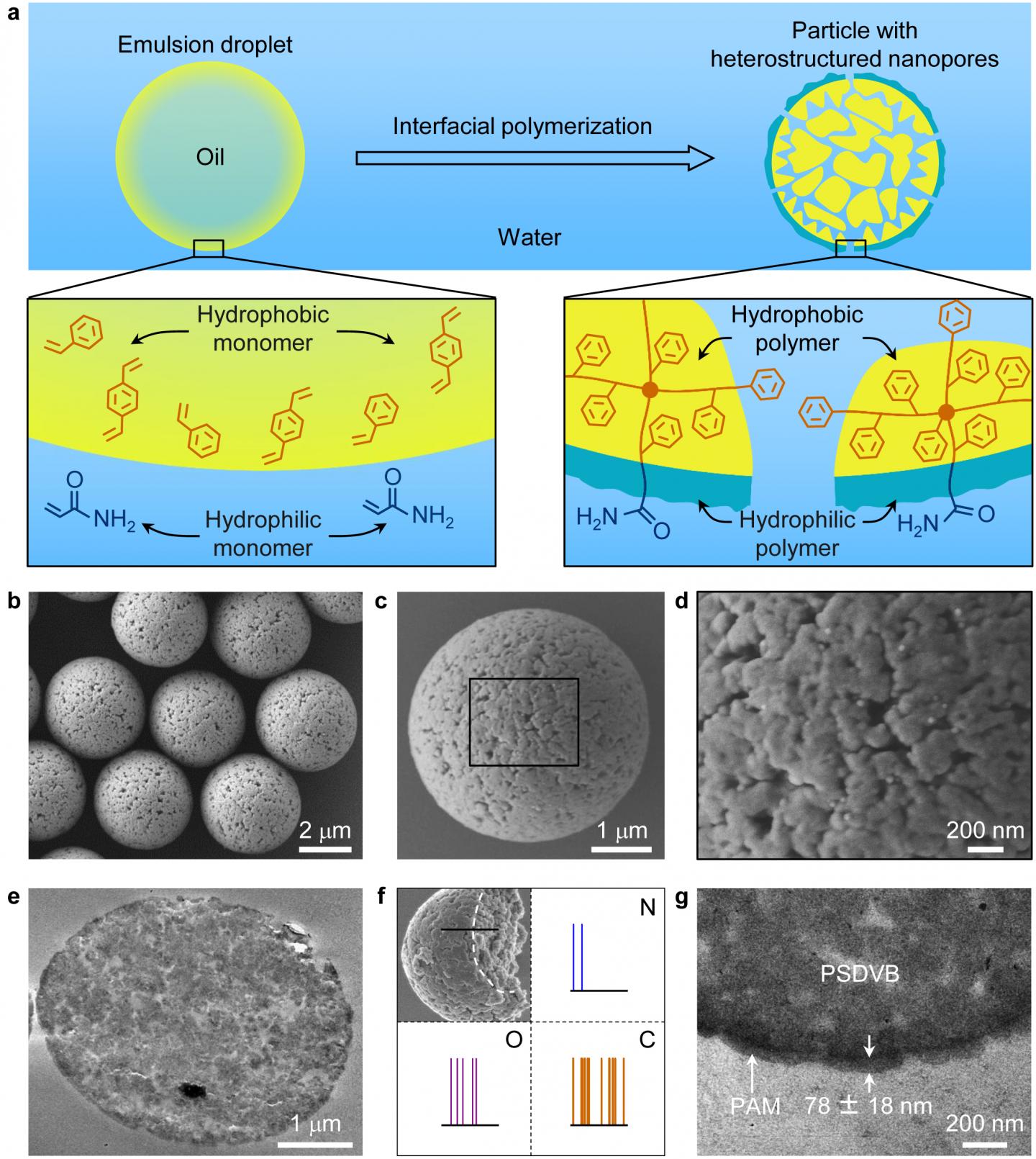 Interfacially Polymerized Particles 
