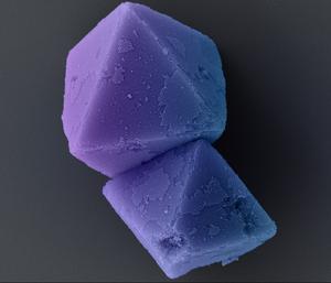 Diamond crystals made from DNA, electron microscope image, color-enhanced