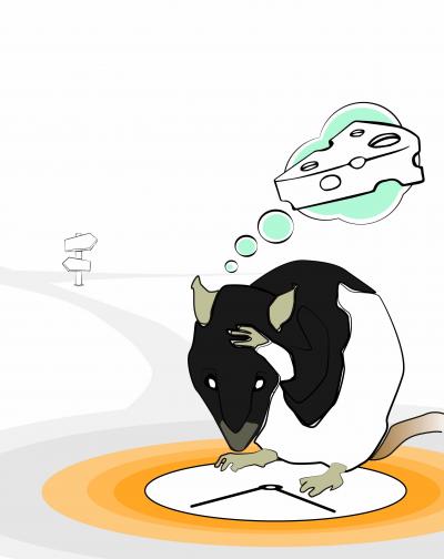 Understanding the Neural Basis of Confidence in the Brain