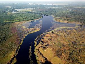 Ruki River in the Congo Basin